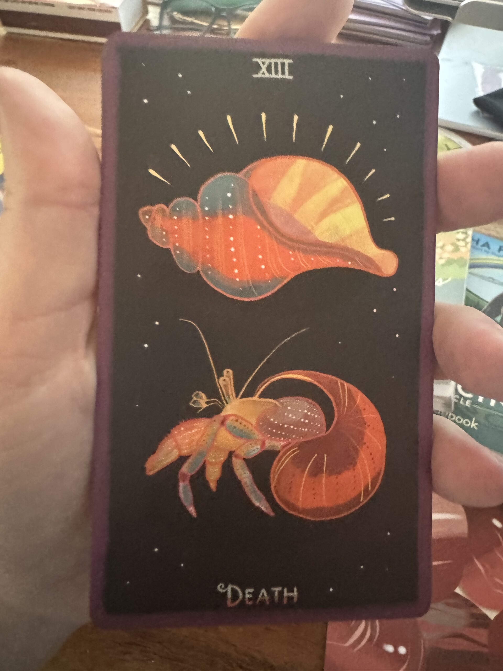A hand holds a tarot card labeled XIII Death featuring a colorful hermit crab and an empty seashell, both illustrated with bright orange and yellow tones on a dark background.