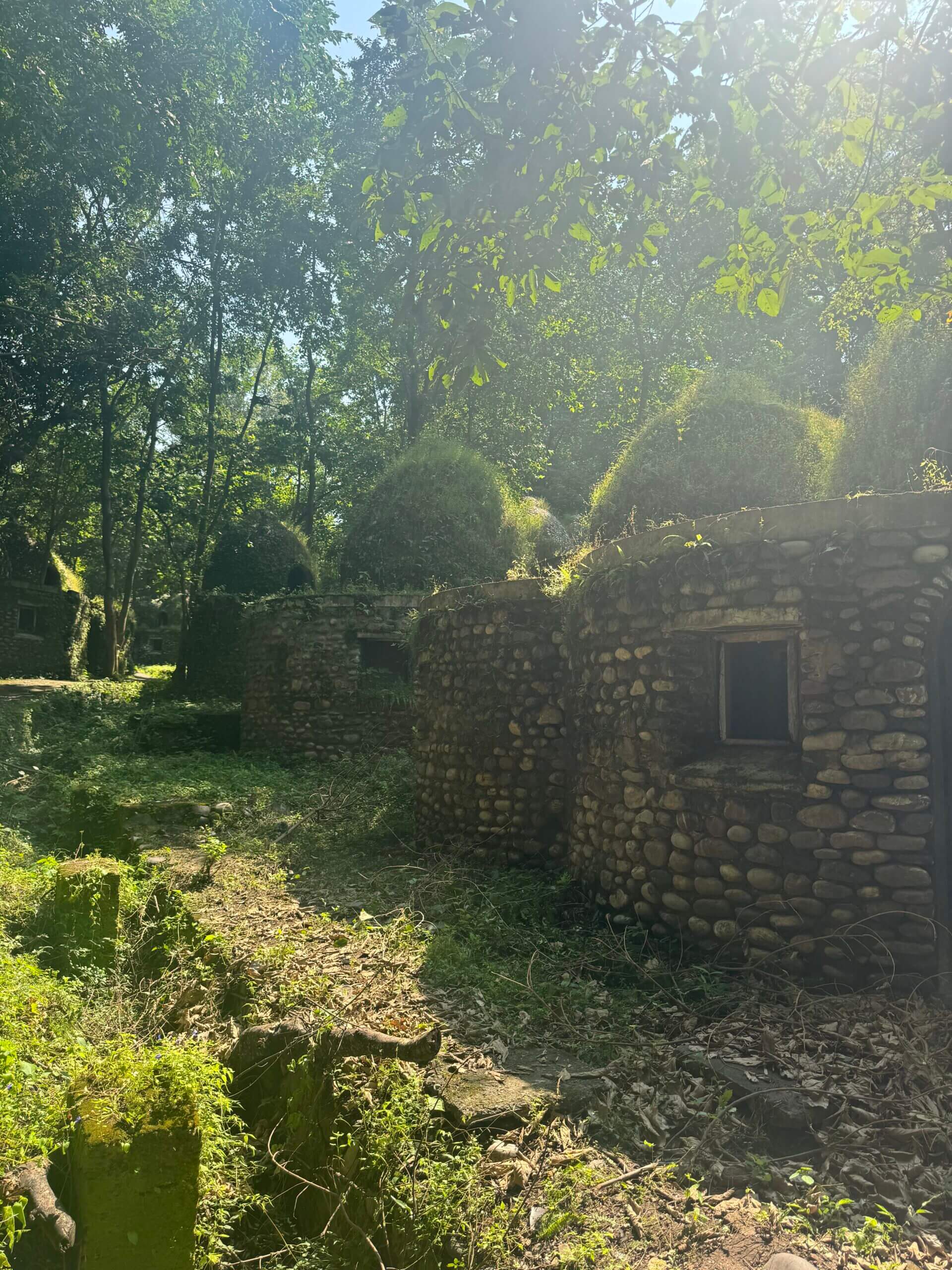 Sunlight filters through trees onto old stone huts with small windows, overgrown with grass and moss, creating a lush, serene forest scene.