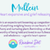 Graphic features Mullein in turquoise script with Heart expansive and grief releasing in purple, describing Mullein plant medicine tincture as an expectorant for loosening lung congestion and a gentle heart opener. Includes flowers and Rainbow Dot spirituality logo.