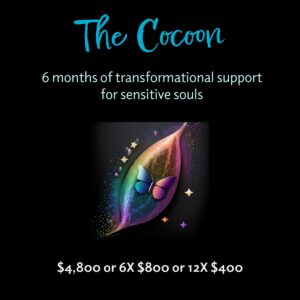 Promotional graphic for The Cocoon: 6 months of transformational support for sensitive souls. Features a rainbow cocoon with butterfly and stars. Pricing: $3600, 6 payments of $600, or 12 payments of $300.