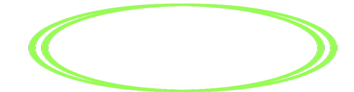 A bright green, double-lined oval shape centered on a plain white background.